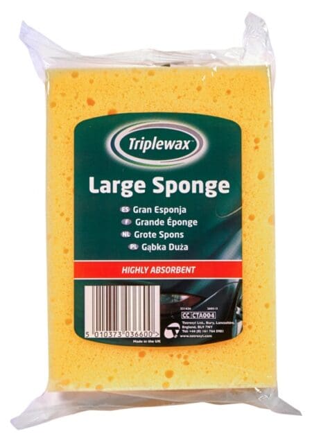 Large Sponge