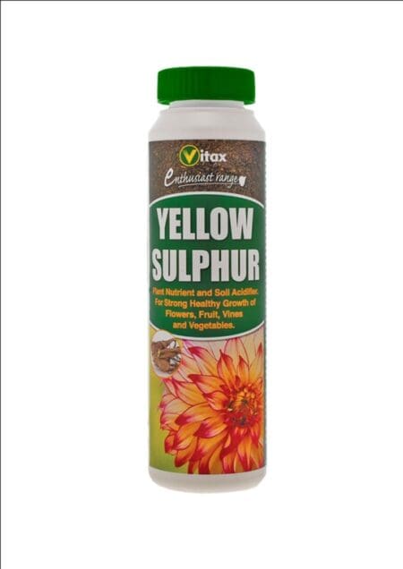 Yellow Sulphur