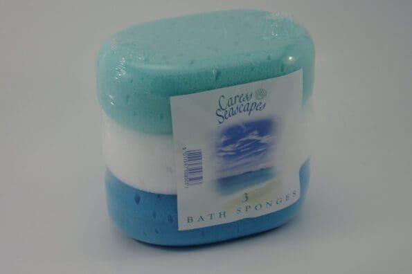 Bath Sponge