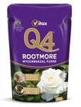 Q4 Rootmore