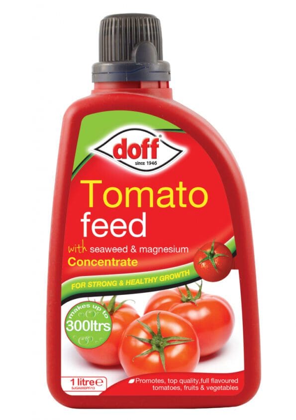 Tomato Feed