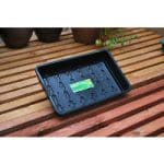 Standard Seed Tray