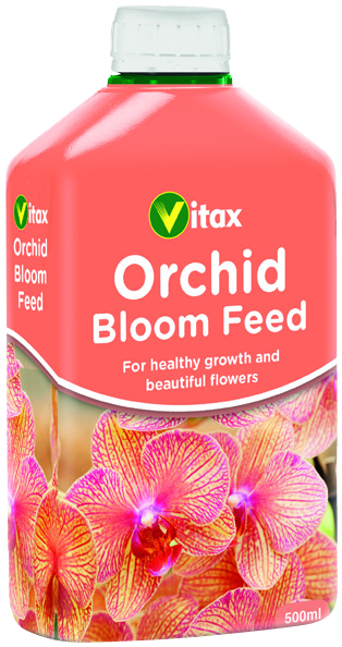 Orchid Bloom Feed